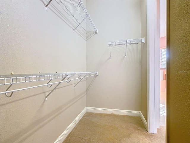 spacious closet with carpet flooring