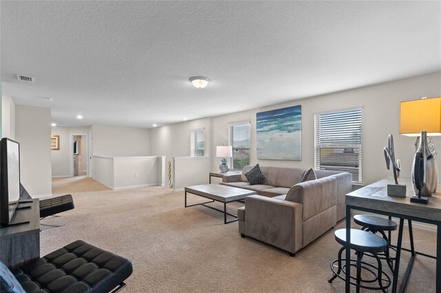 carpeted living room with a textured ceiling and a wealth of natural light