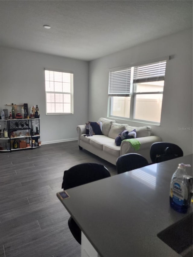 living room with dark wood-type flooring