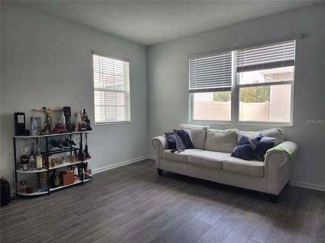 living room with dark wood-type flooring