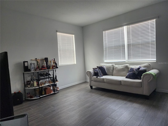 living room featuring a wealth of natural light and wood-type flooring