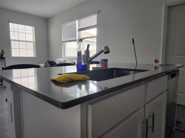 kitchen featuring stainless steel dishwasher, sink, hardwood / wood-style flooring, and white cabinets