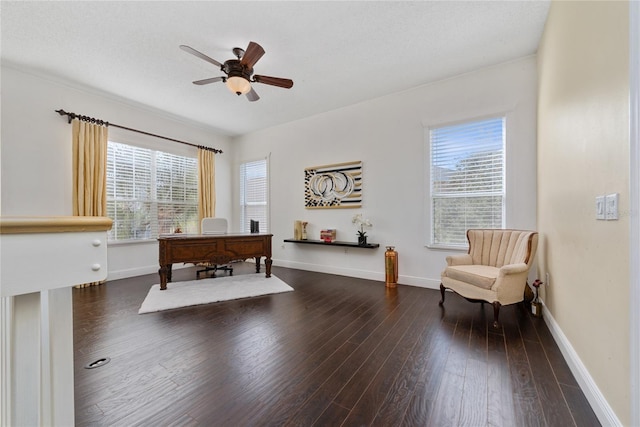 home office featuring ceiling fan, dark hardwood / wood-style flooring, and plenty of natural light