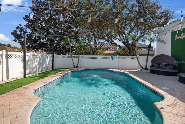 view of swimming pool with a patio