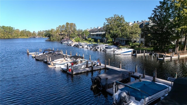 dock area with a water view