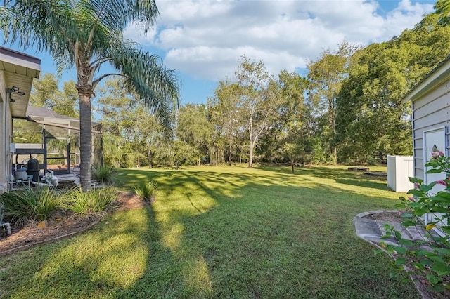 view of yard featuring a patio