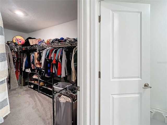 spacious closet with light colored carpet