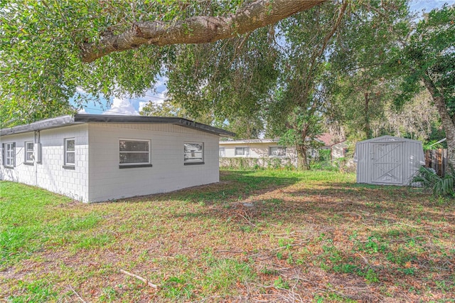 view of yard with a storage unit