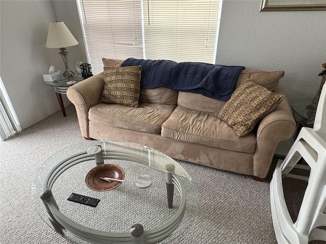 living room featuring carpet