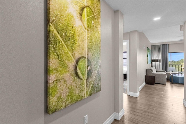 hallway with wood-type flooring