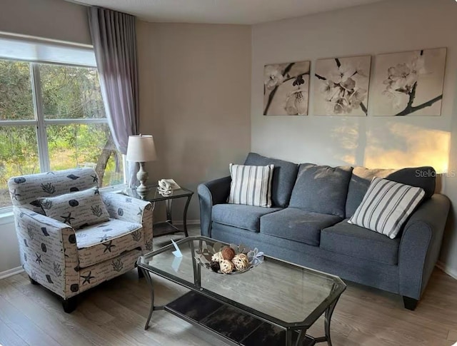 living room with hardwood / wood-style floors