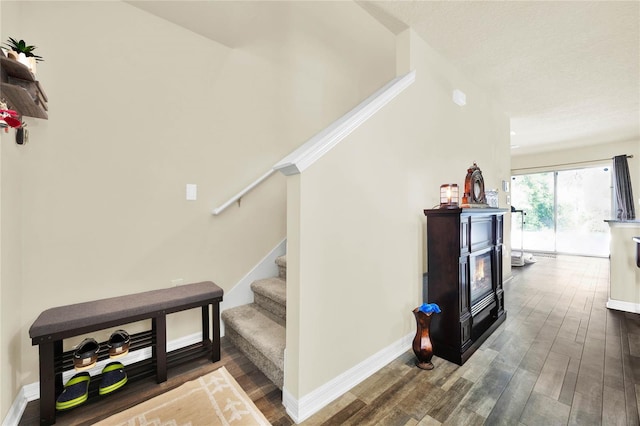 stairs with hardwood / wood-style flooring