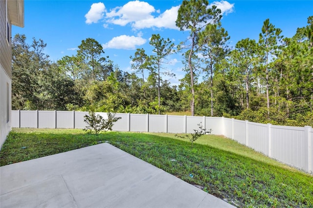 view of yard with a patio area