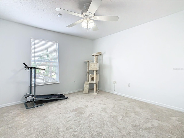 exercise area featuring ceiling fan