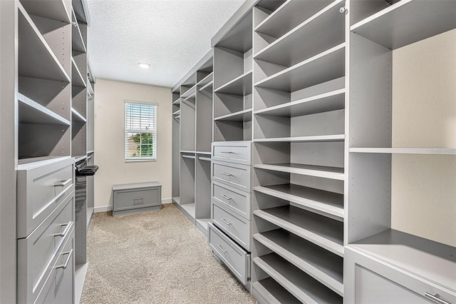 spacious closet featuring light carpet