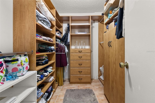 spacious closet with light hardwood / wood-style flooring