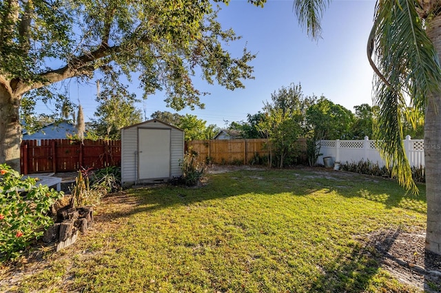 view of yard with a storage unit