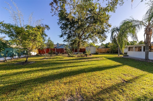 view of yard featuring a shed