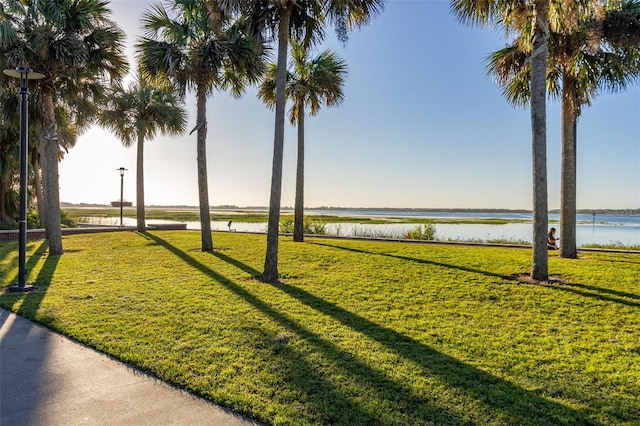 view of yard with a water view