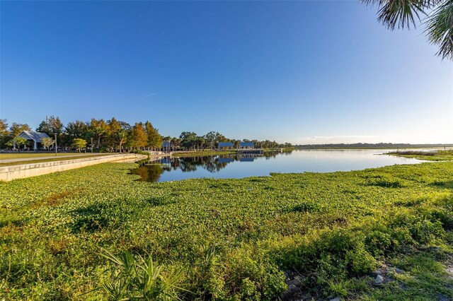 1402 Westminster Way, Kissimmee, FL 34744 - water view
