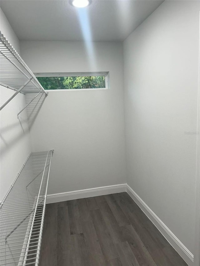 walk in closet with dark hardwood / wood-style flooring