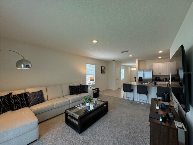 carpeted living room with sink and a textured ceiling