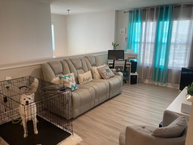 living room featuring hardwood / wood-style flooring and a healthy amount of sunlight