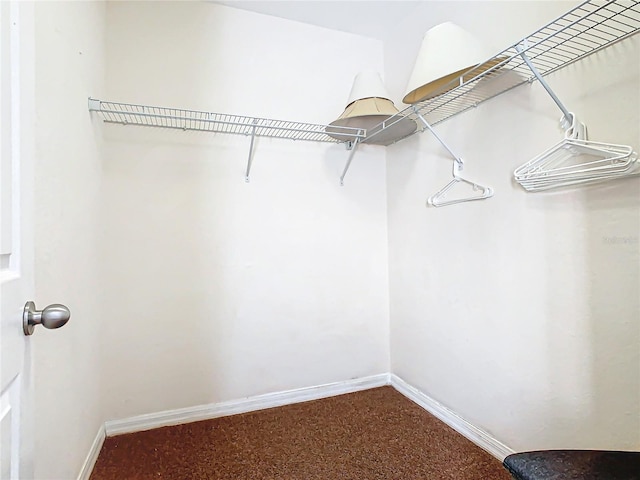 spacious closet with carpet flooring