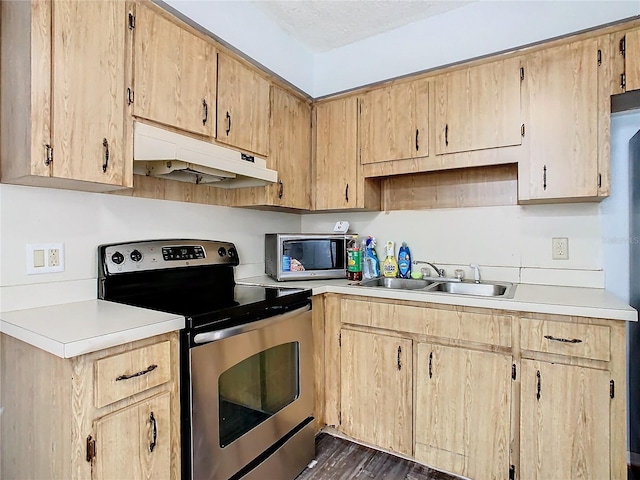 kitchen with light brown cabinetry, appliances with stainless steel finishes, and dark hardwood / wood-style floors