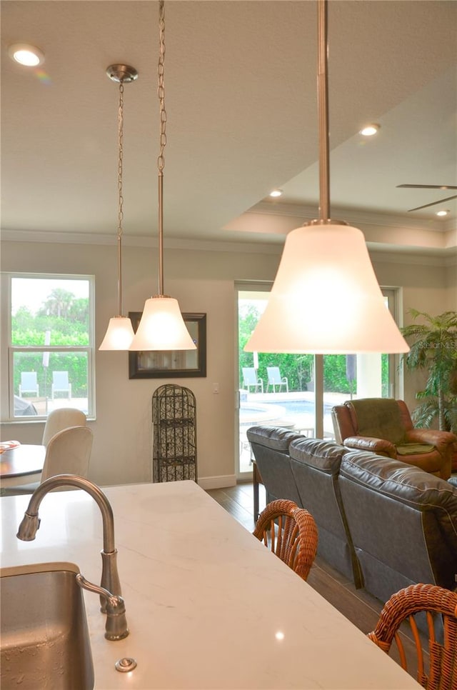 dining area featuring ornamental molding and hardwood / wood-style floors