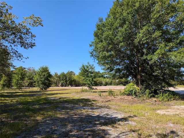 view of yard with a rural view