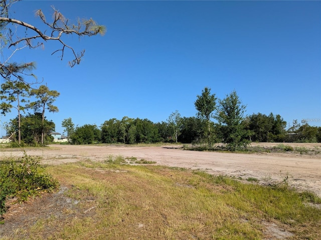 3664 Cord Ave, Saint Cloud, FL 34772 - view of yard with a view of rural / pastoral area