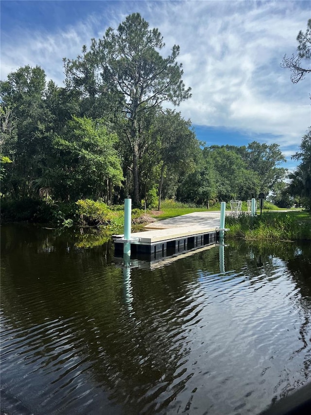 dock area with a water view