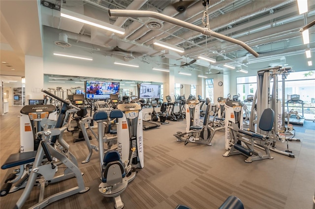 gym featuring carpet and a high ceiling