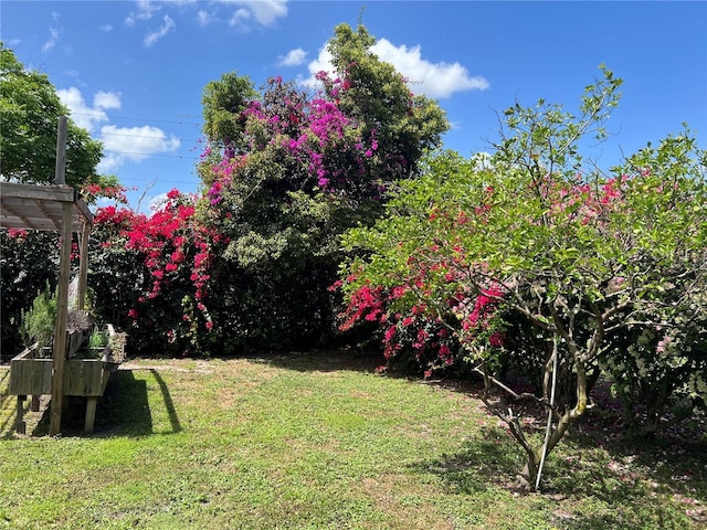 112 10th St, Saint Cloud, FL 34769 - view of grassy yard