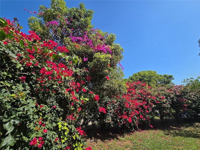 112 10th St, Saint Cloud, FL 34769 - view of yard
