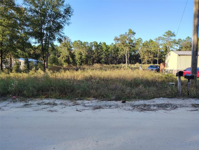 Address Not Disclosed, Dunnellon FL, 34432 land for sale