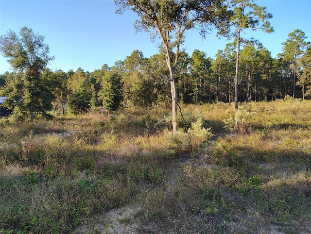 Listing photo 2 for Address Not Disclosed, Dunnellon FL 34432