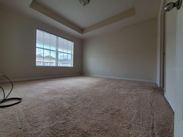 spare room featuring carpet flooring and a tray ceiling