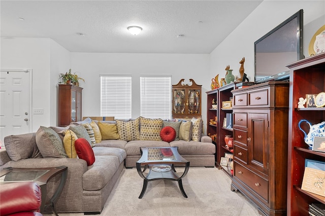 carpeted living room featuring a textured ceiling