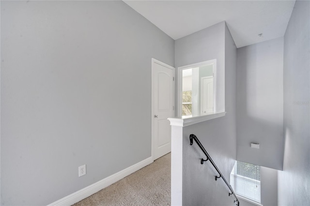 staircase with carpet flooring