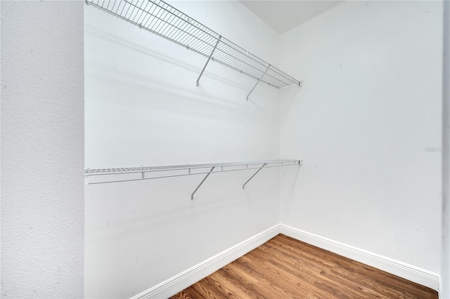 spacious closet with wood-type flooring