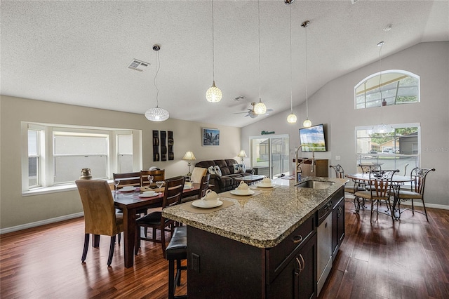 kitchen with a center island with sink, lofted ceiling, sink, and dark wood-type flooring