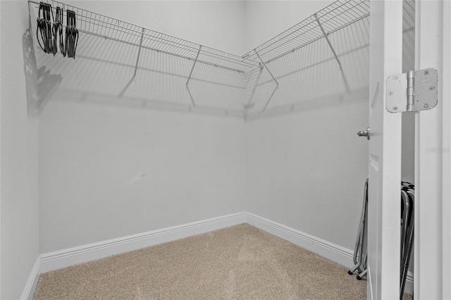 spacious closet with carpet