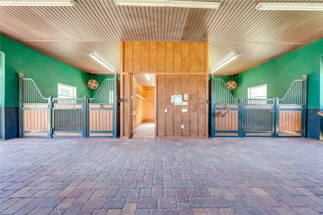 view of horse barn