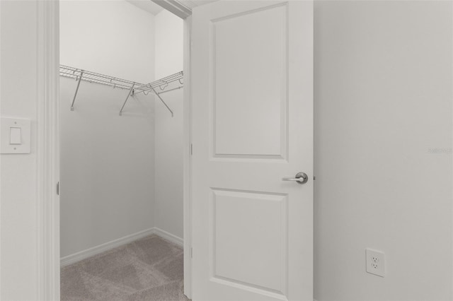 spacious closet featuring light carpet