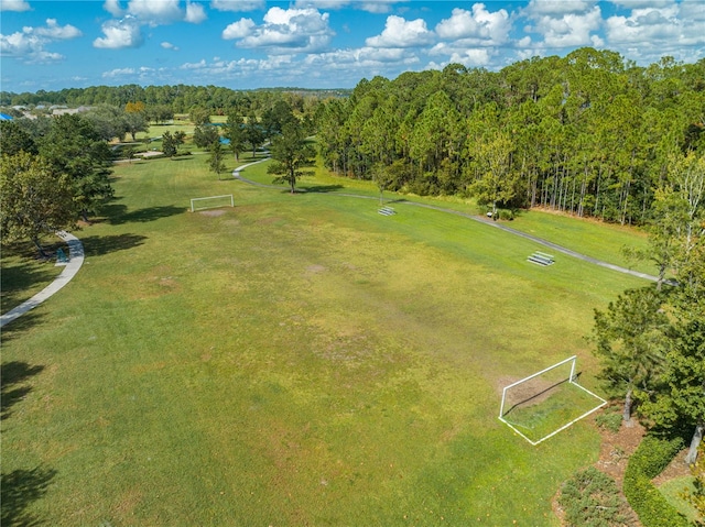 aerial view