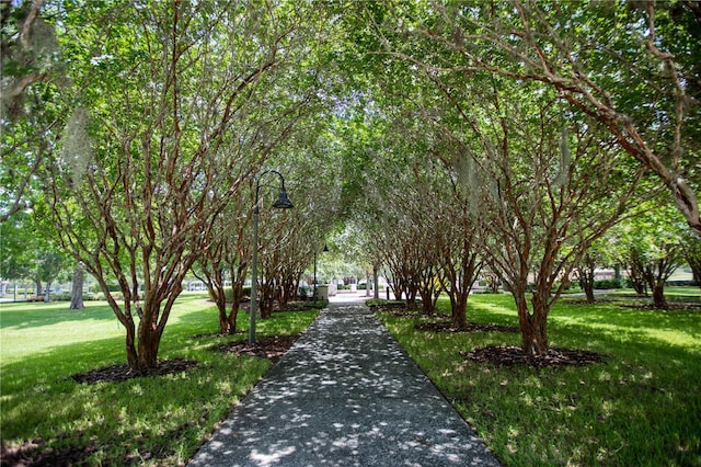 view of property's community with a lawn