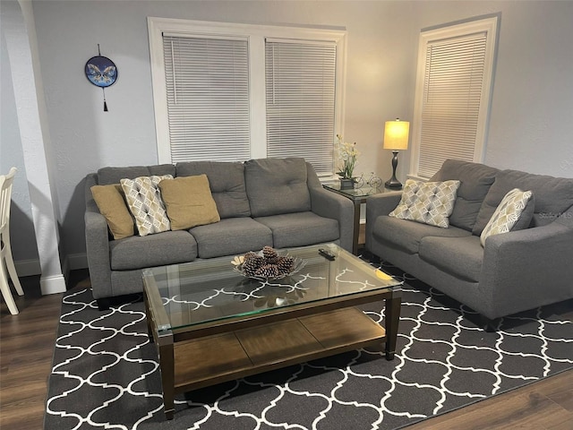 living room with baseboards and wood finished floors