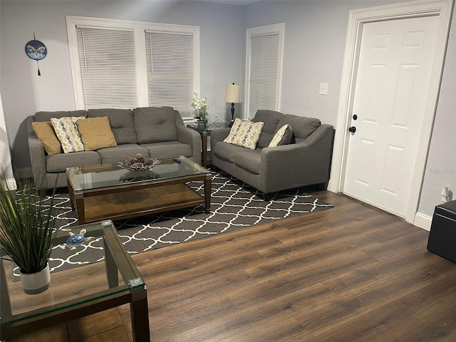 living room with baseboards and wood finished floors